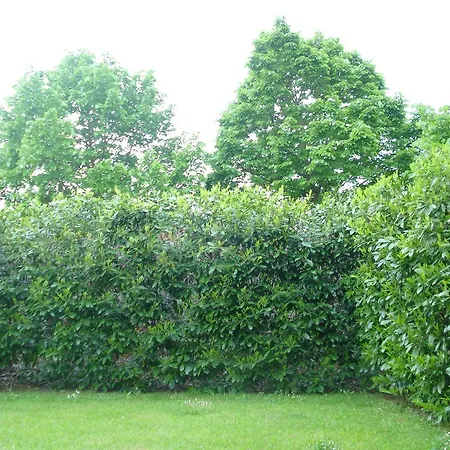 Apartmán La Vigna *