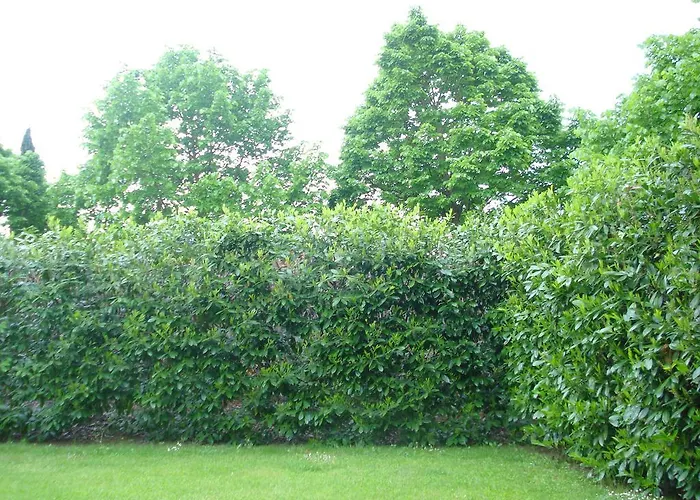 Apartment La Vigna *