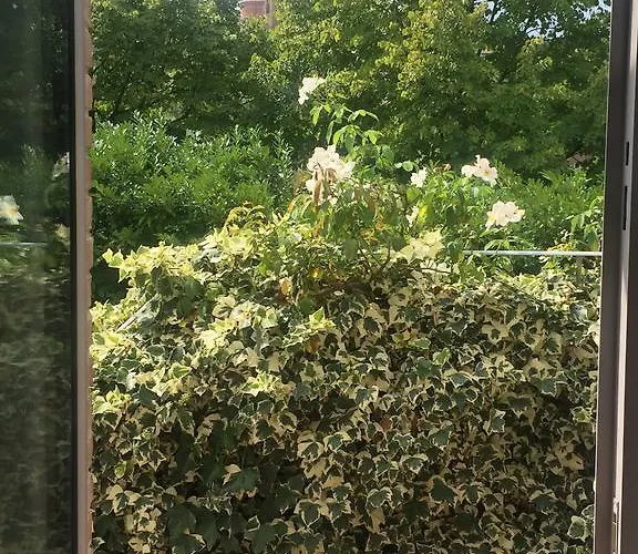 Apartment La Vigna *